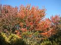 2008-10-11_Tiverton_Trustom 055